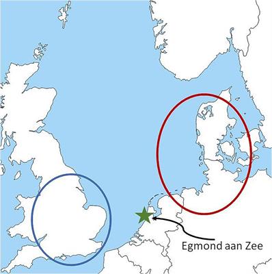 Associations of Synoptic Weather Conditions With Nocturnal Bird Migration Over the North Sea